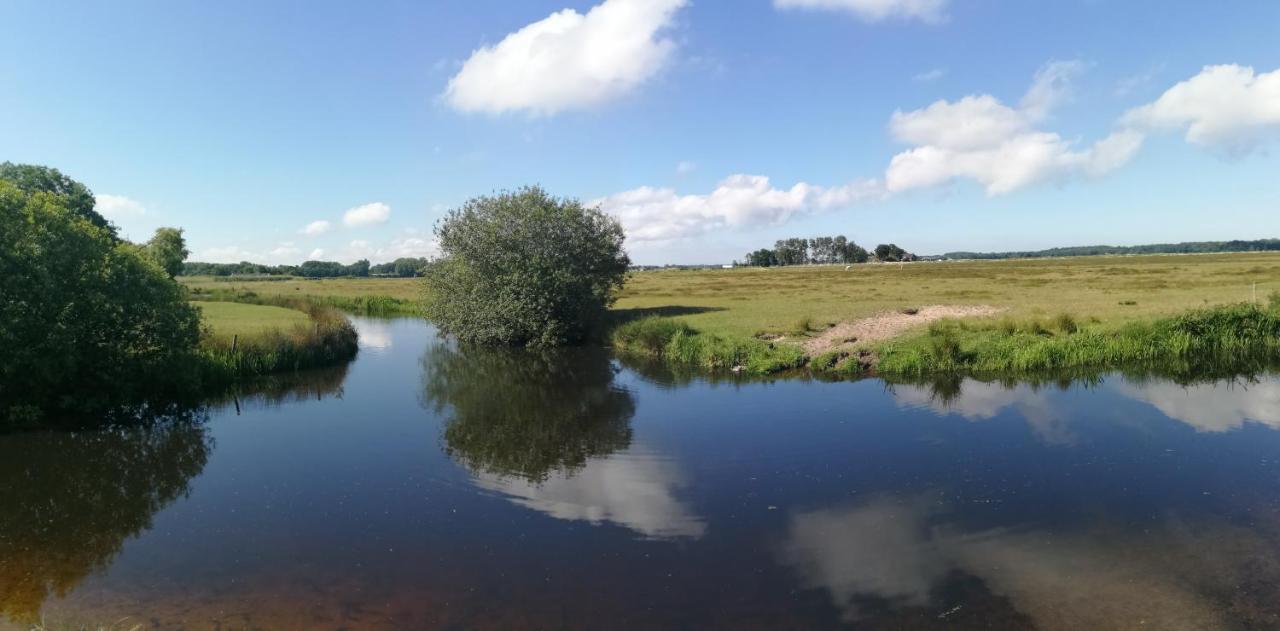 Rob'S Cottage Schoorl Bagian luar foto