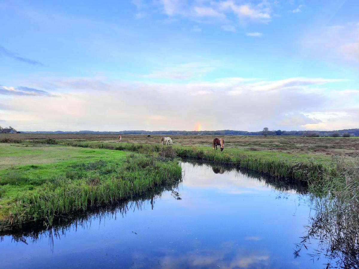 Rob'S Cottage Schoorl Bagian luar foto
