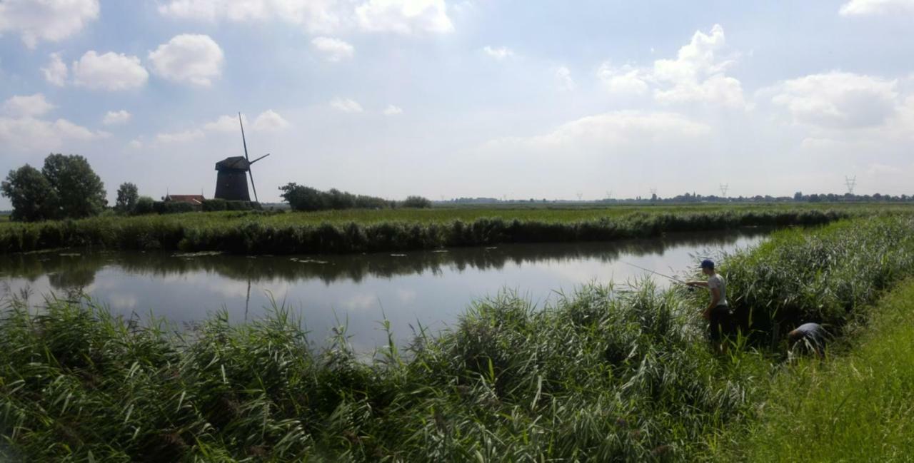 Rob'S Cottage Schoorl Bagian luar foto