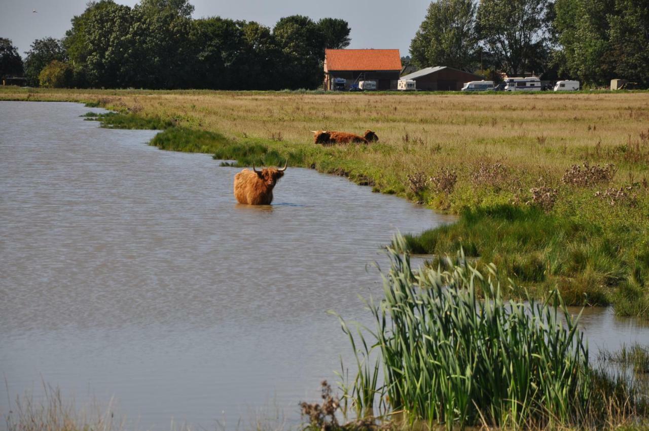 Rob'S Cottage Schoorl Bagian luar foto